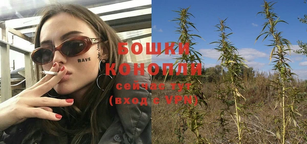прущий лед Каменка