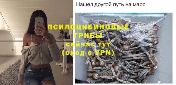 прущий лед Каменка