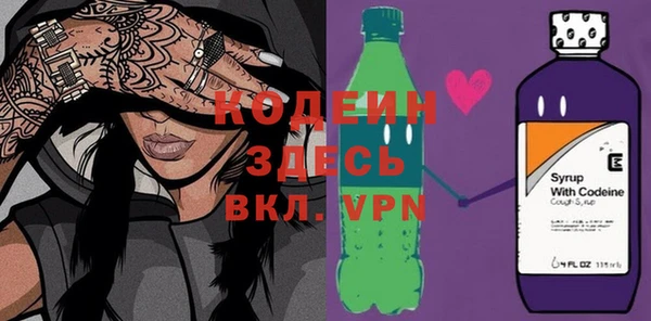 МДПВ Инсар