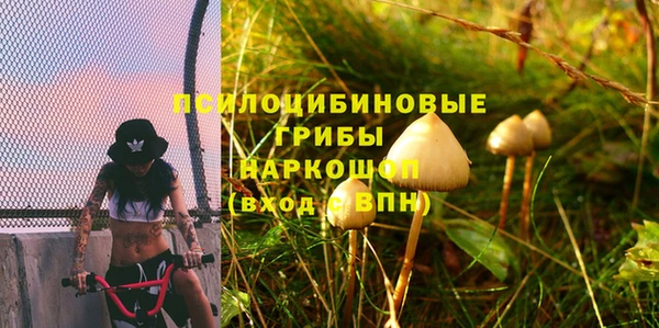 прущий лед Каменка