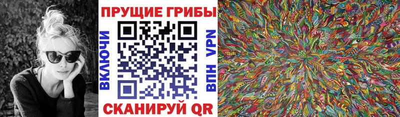Галлюциногенные грибы Psilocybe  Кириллов 